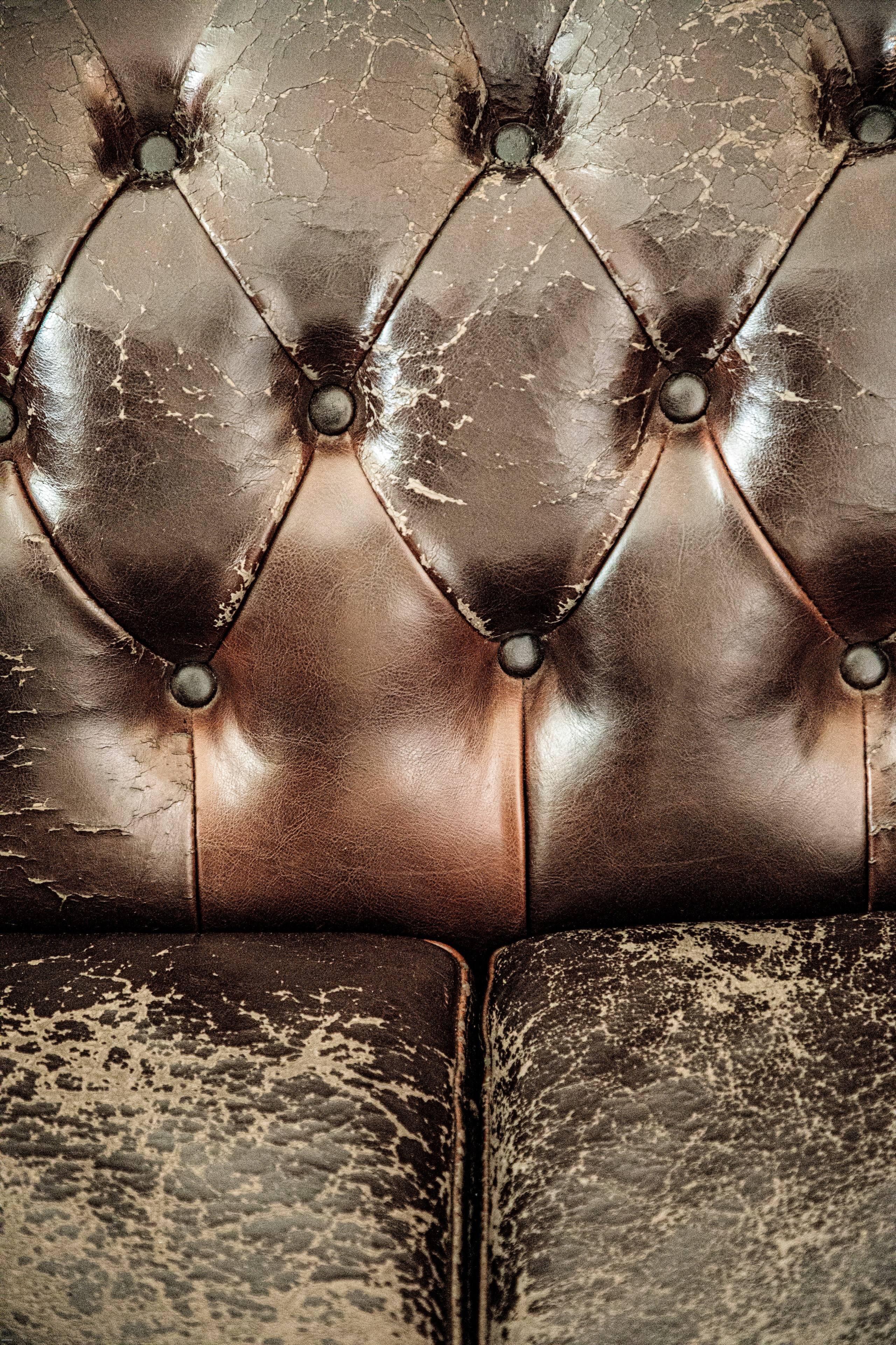 Kerstin zu Pan - SALON-2820