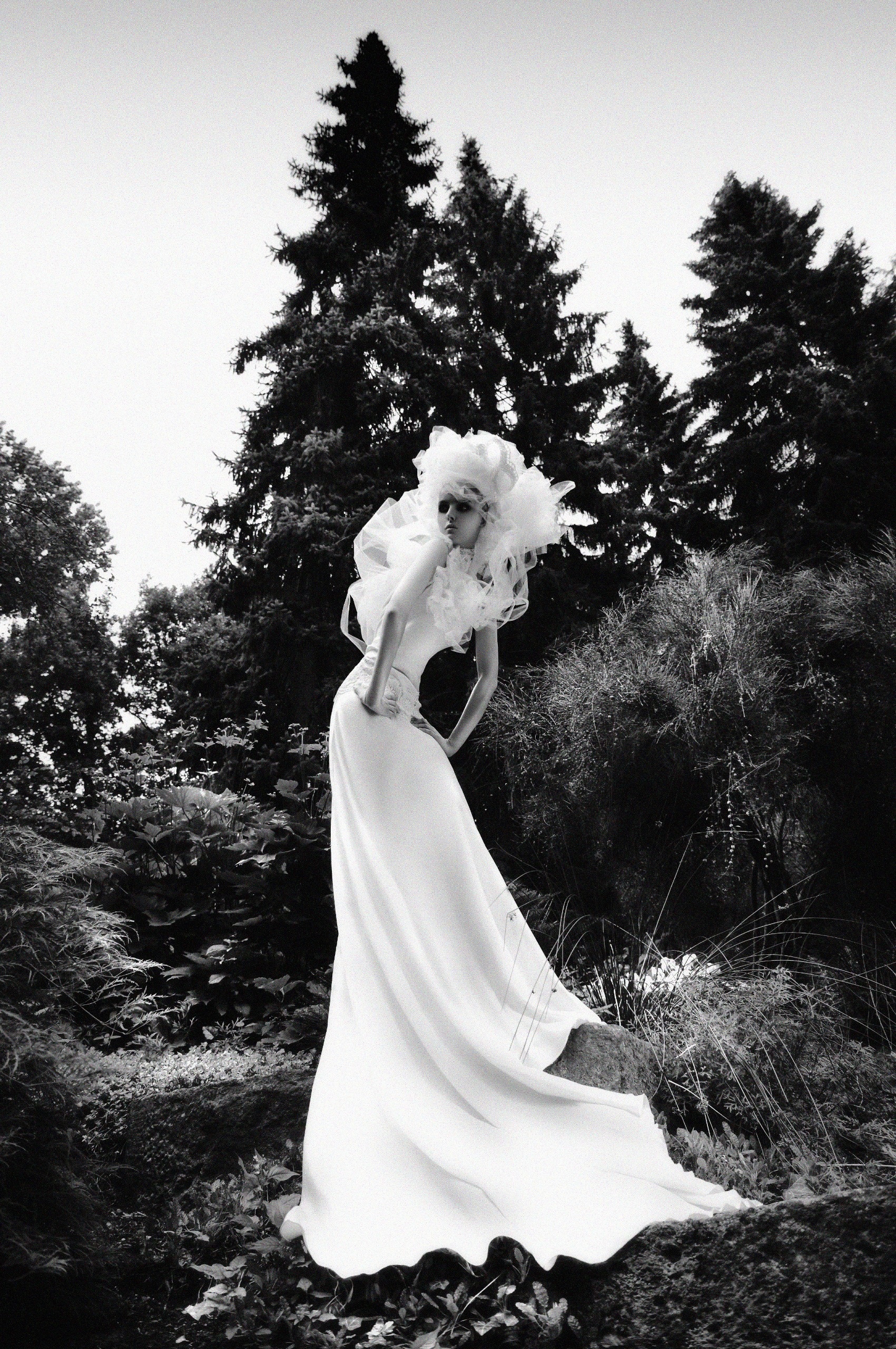 Elaine Abrams by Anita Bresser