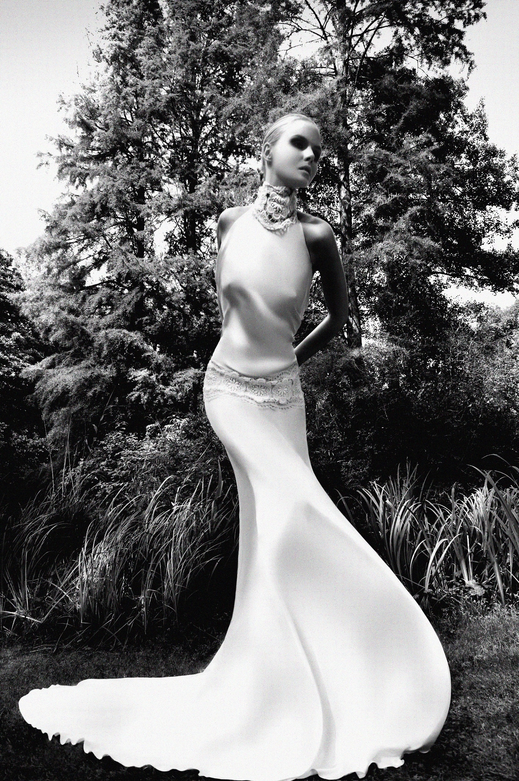 Elaine Abrams by Anita Bresser
