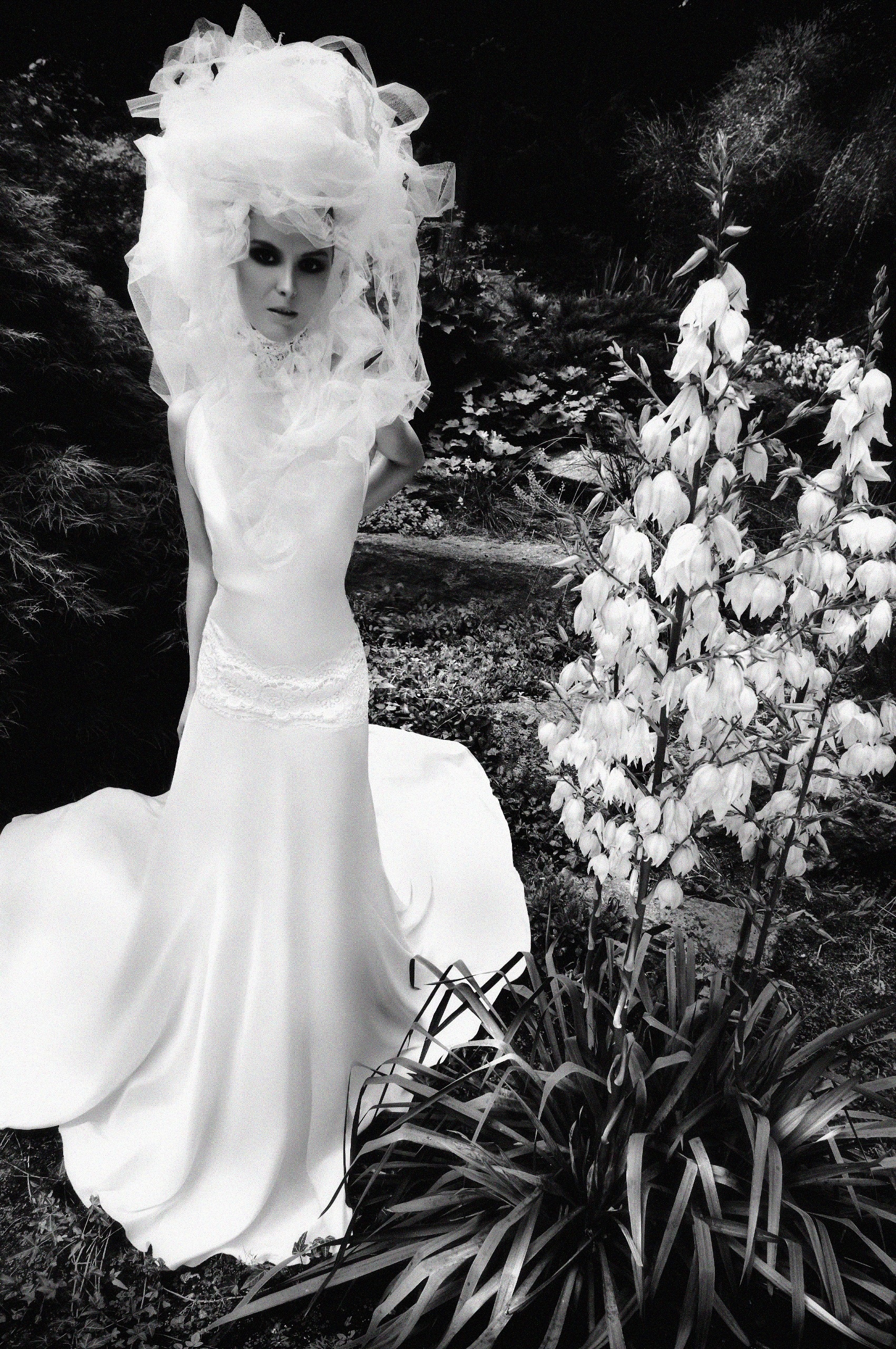 Elaine Abrams by Anita Bresser