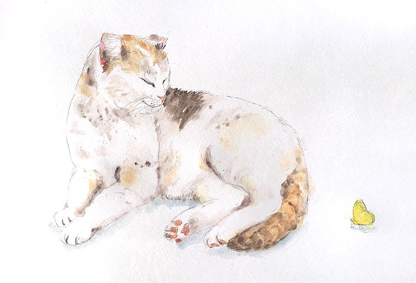 Cat and a butterfly for web.jpg