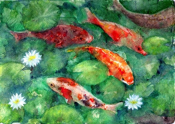 koi in the pond.jpg