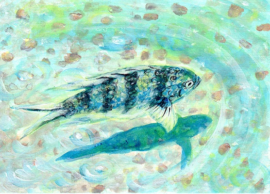 blue fish_web.jpg