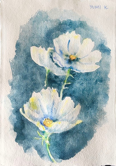 White Cosmos for web.jpg
