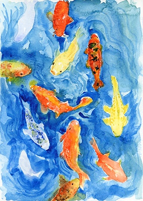 koi in blue water for web.jpg