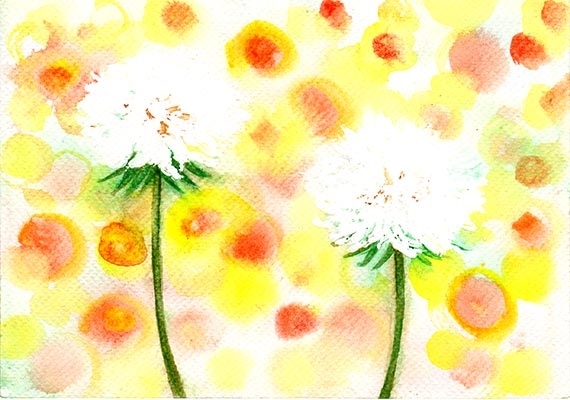 Dandelions in the sunshine.jpg