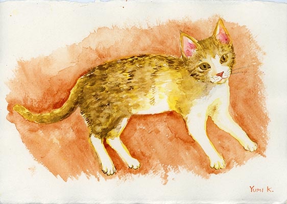 Tabby kitty for web.jpg