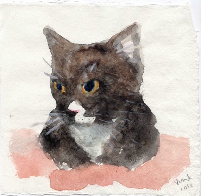 puss.jpg