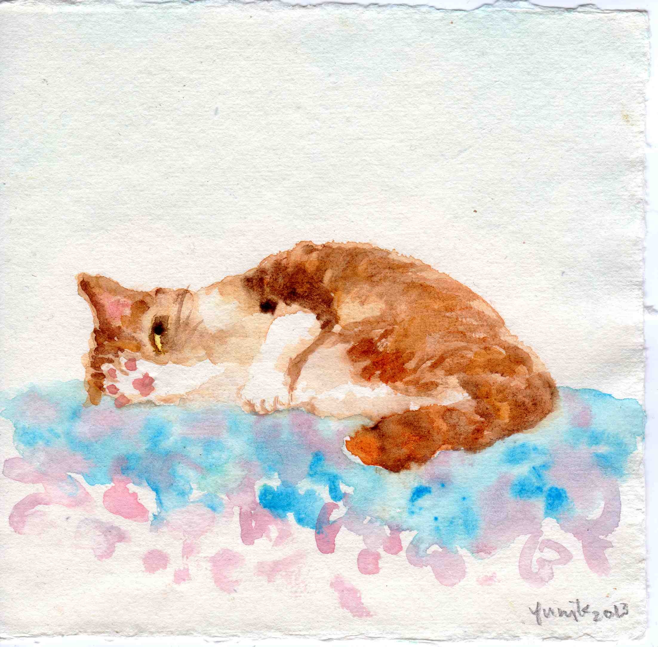 cheeky cat.jpg