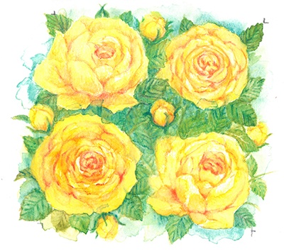 4 roses for web.jpg