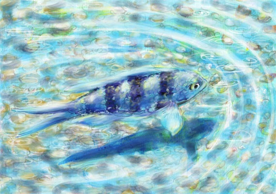 bluefish.jpg