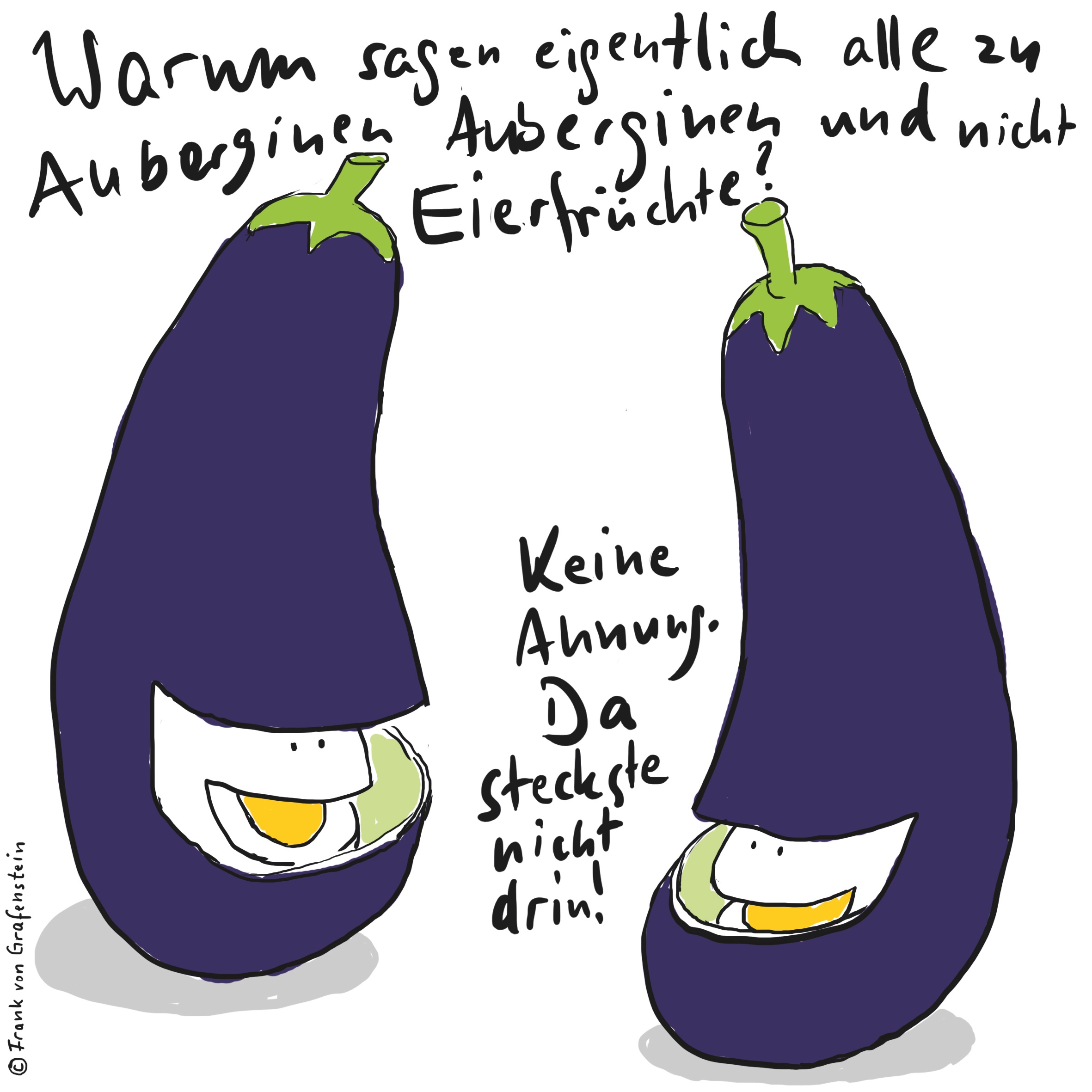 Ei-und-Ei_Aubergine-Eierfrucht.jpg