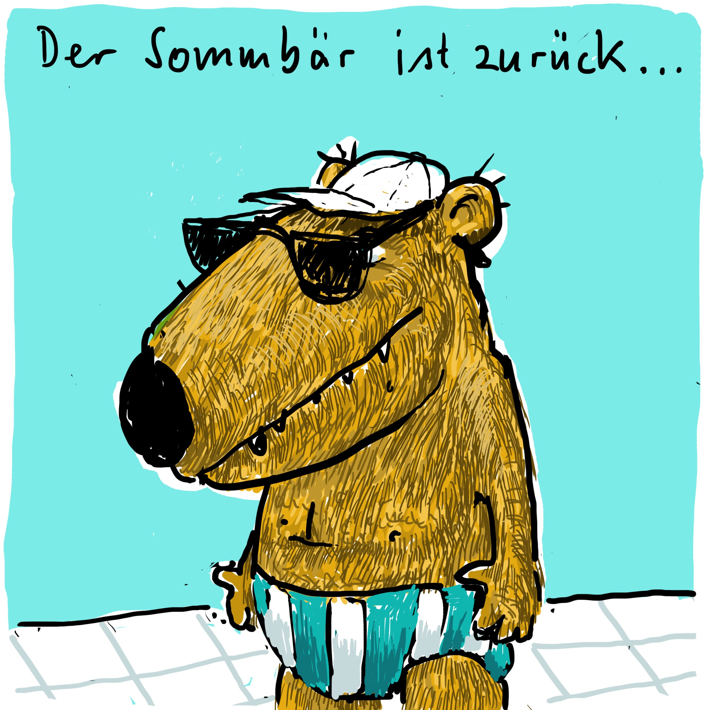 sommbaer.jpg