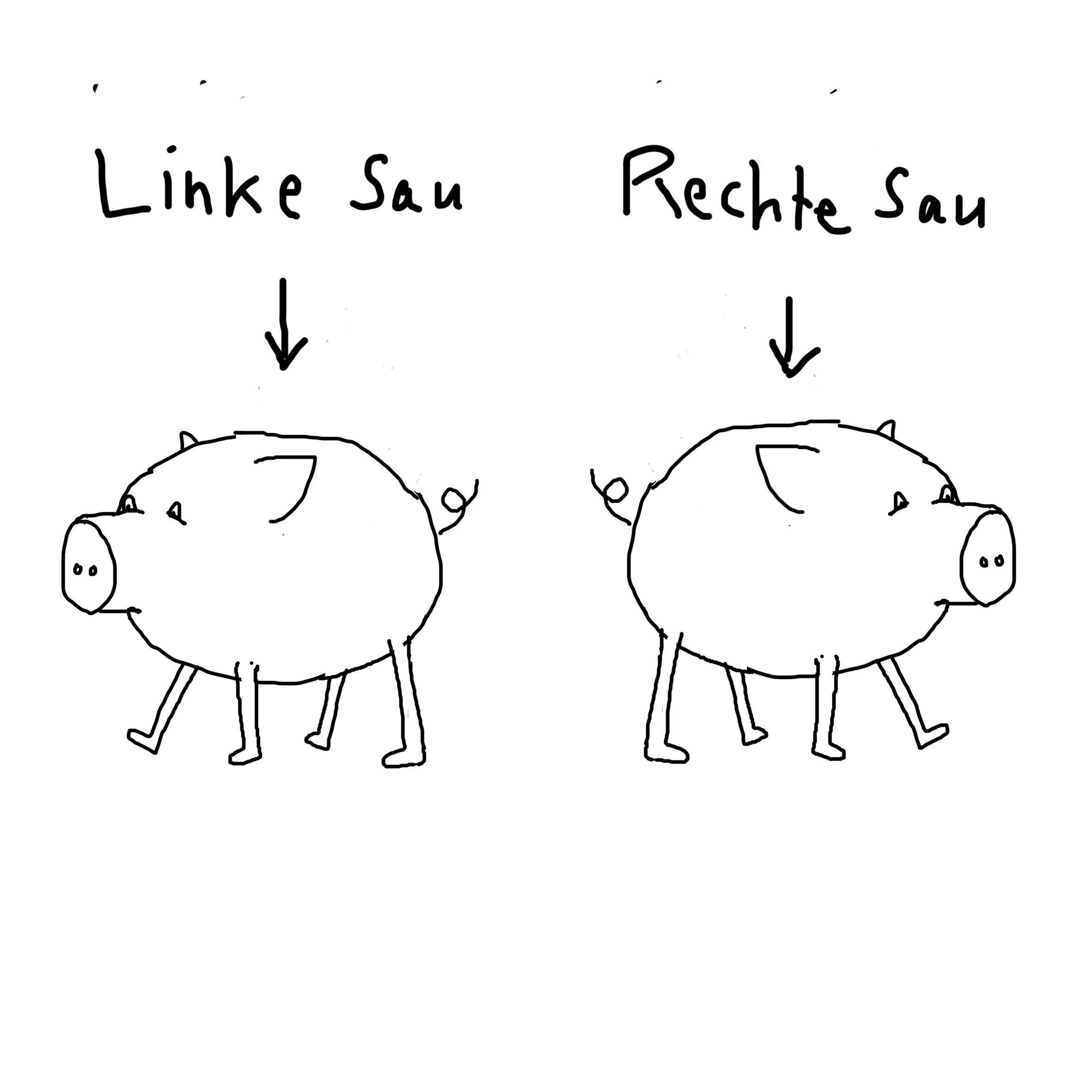 linksundrechts.jpg