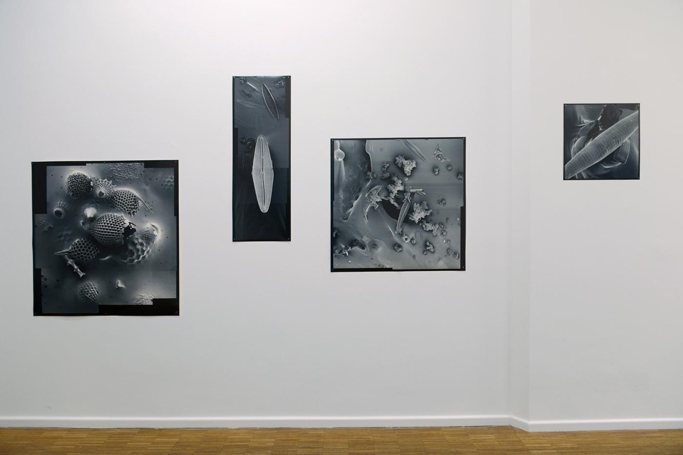 _HZ06619-sensorium.jpg