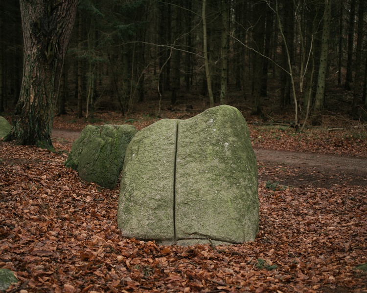 Philipp Meuser Buyan
