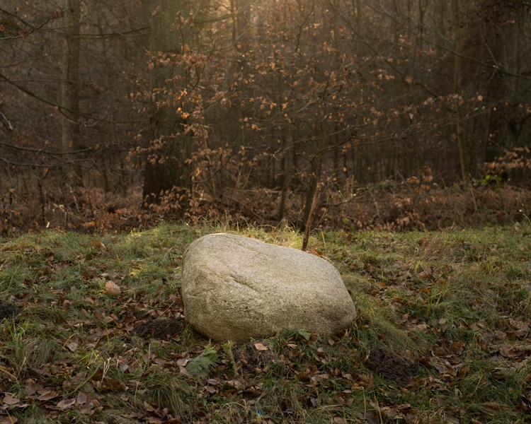 Philipp Meuser Buyan