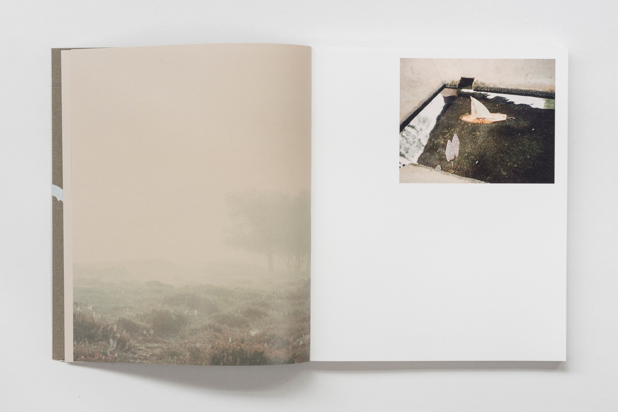 Philipp Meuser Neorrurales