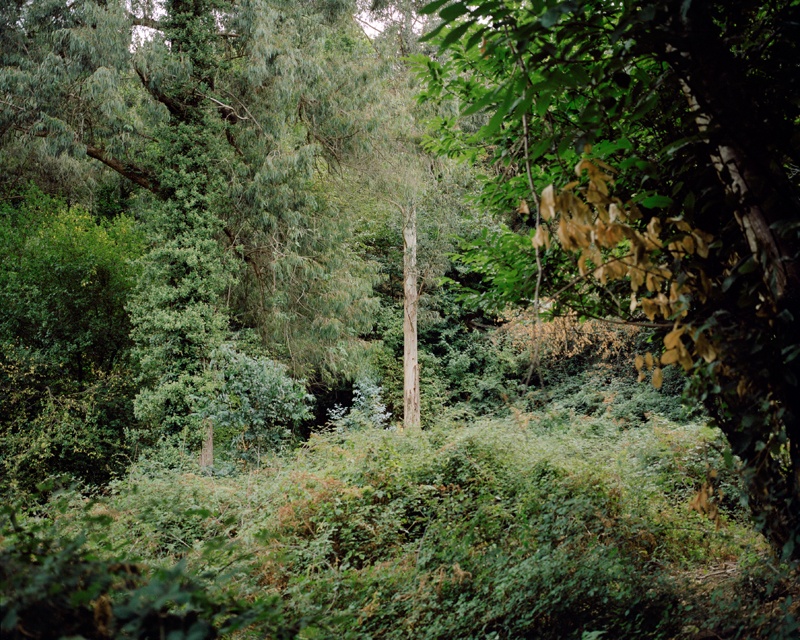 Philipp Meuser Neorrurales