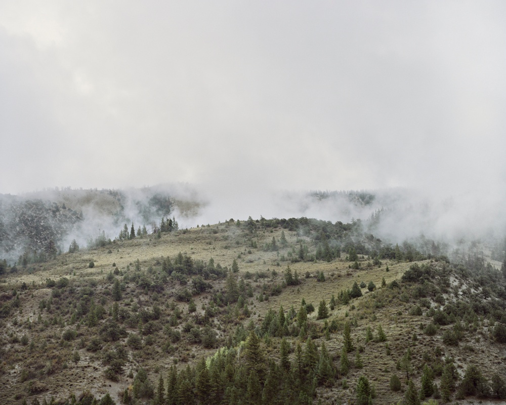 Philipp Meuser ParadoxCounty