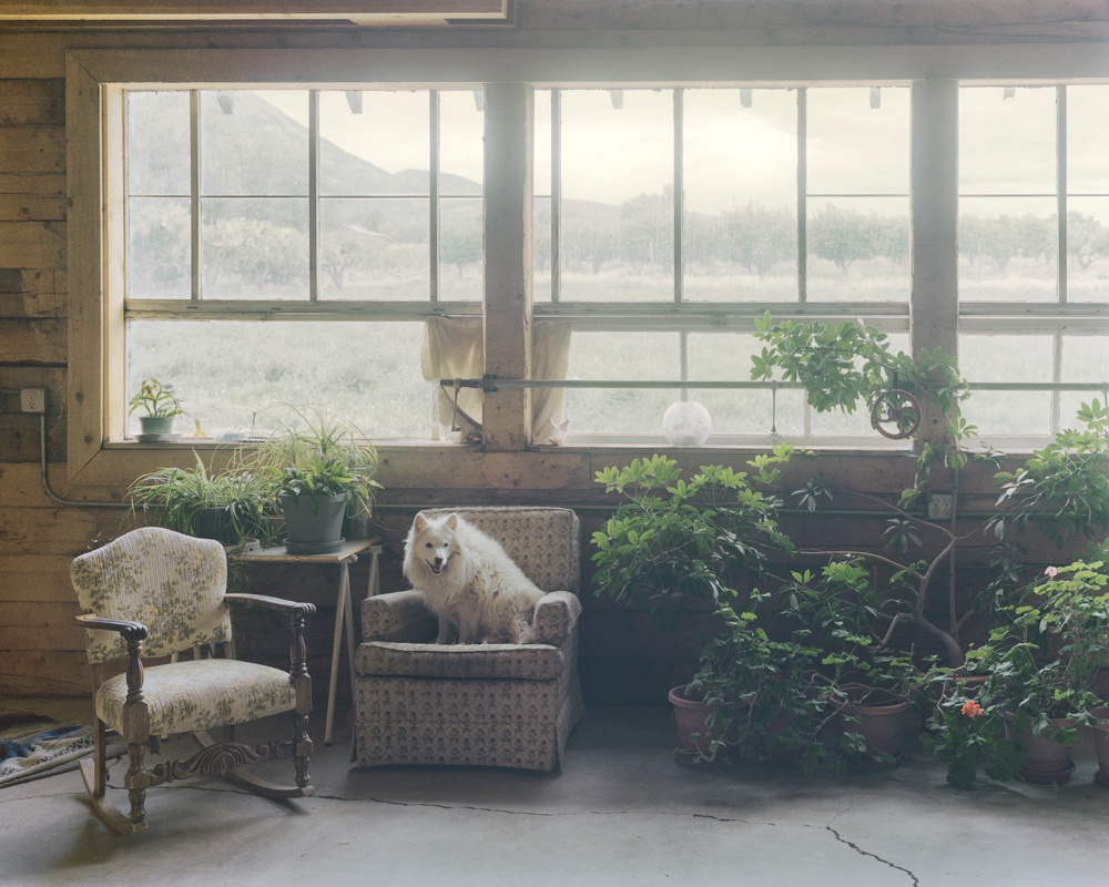 Philipp Meuser ParadoxCounty