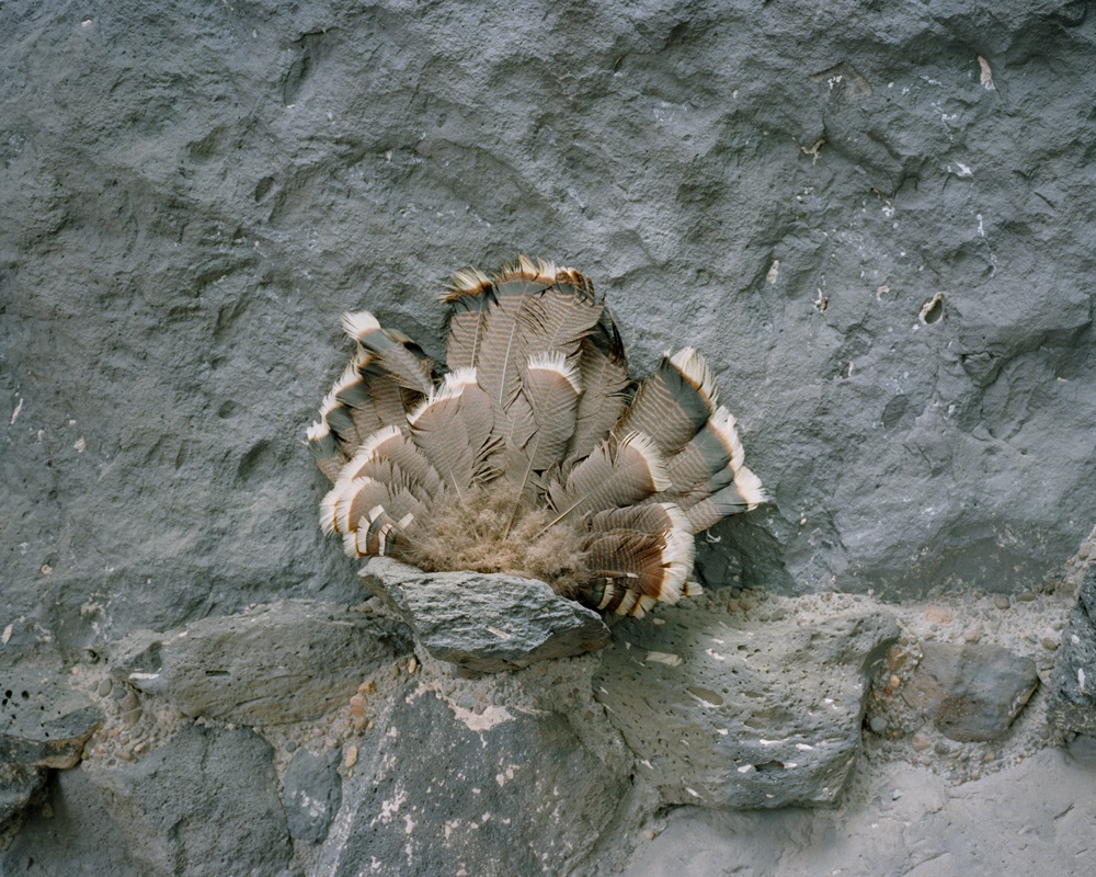 Philipp Meuser ParadoxCounty