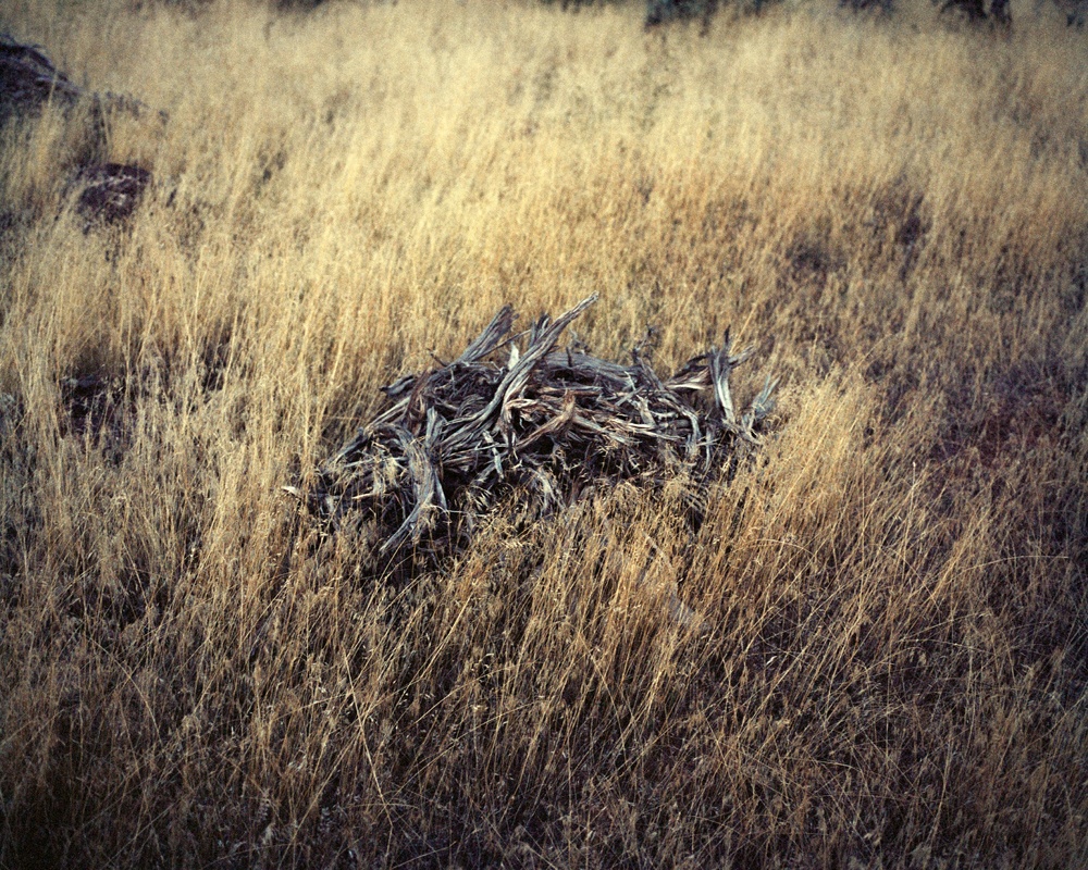 Philipp Meuser ParadoxCounty