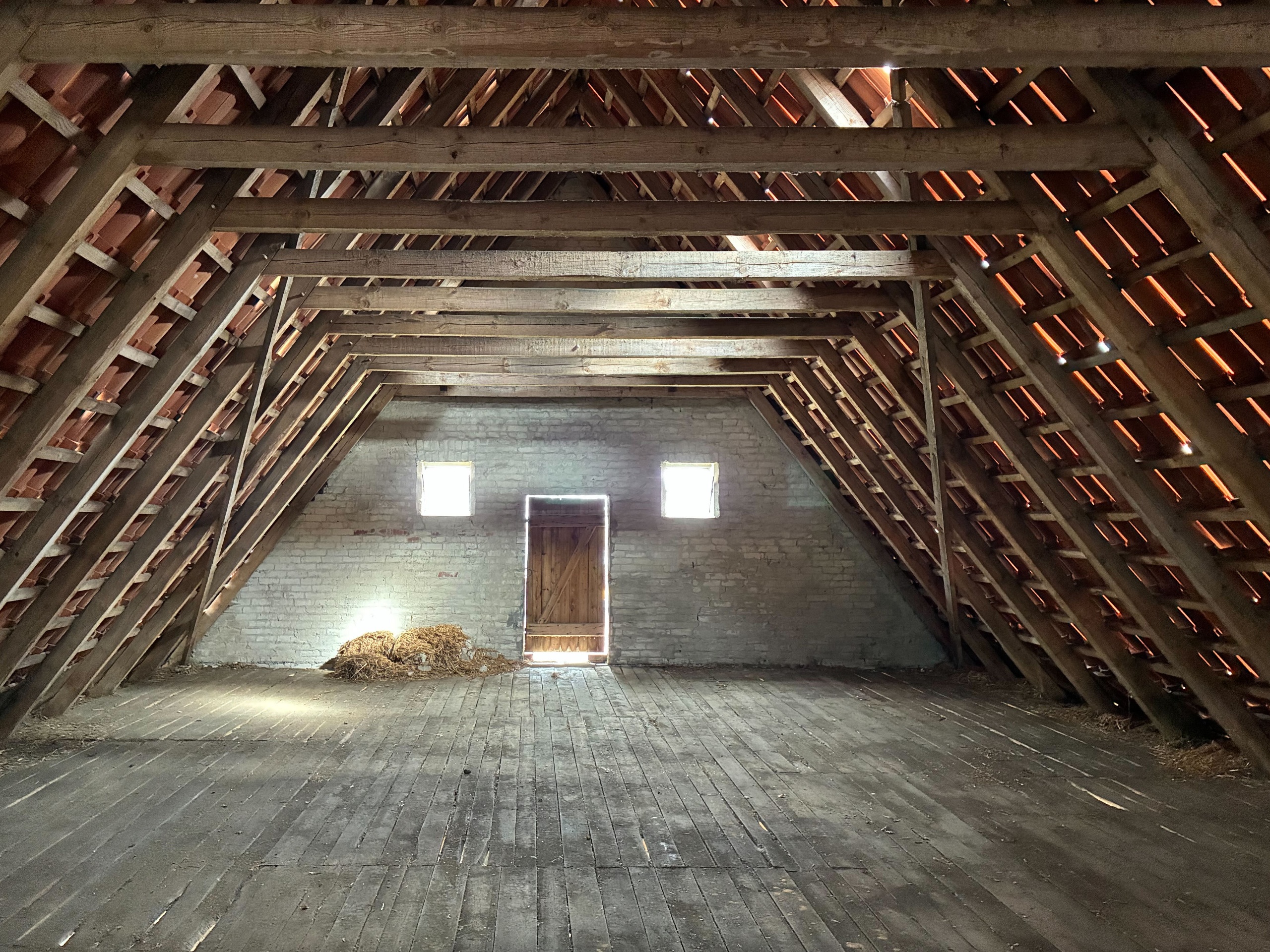IMG_0128.jpeg