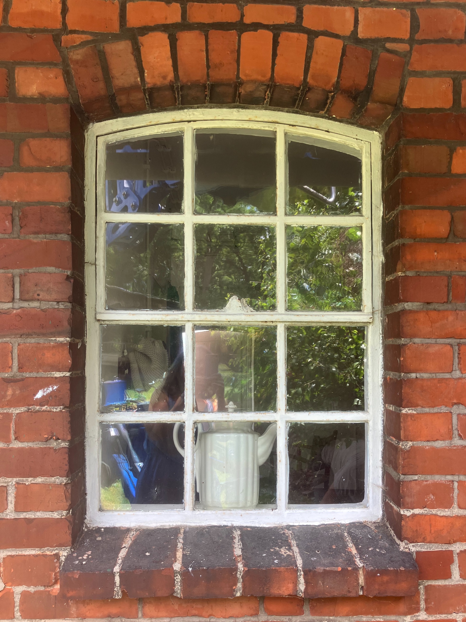 IMG_5384.jpeg