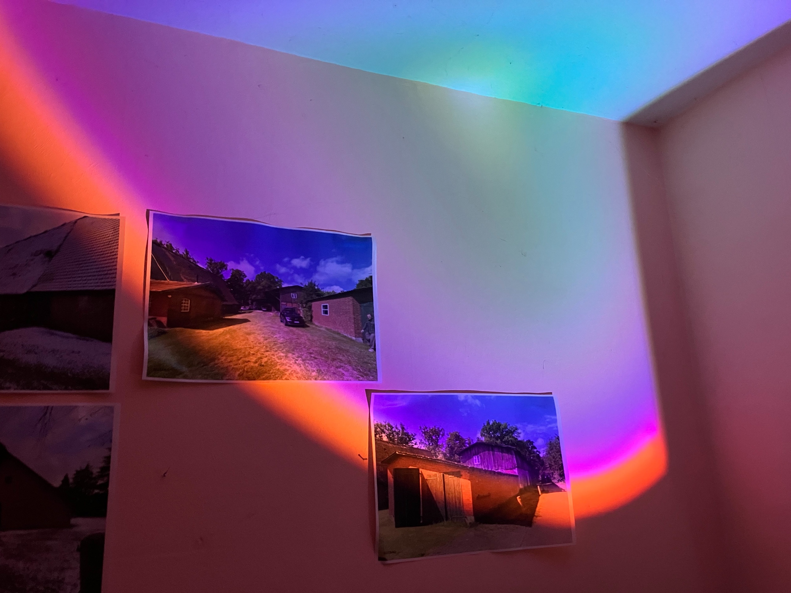 IMG_2067.jpeg