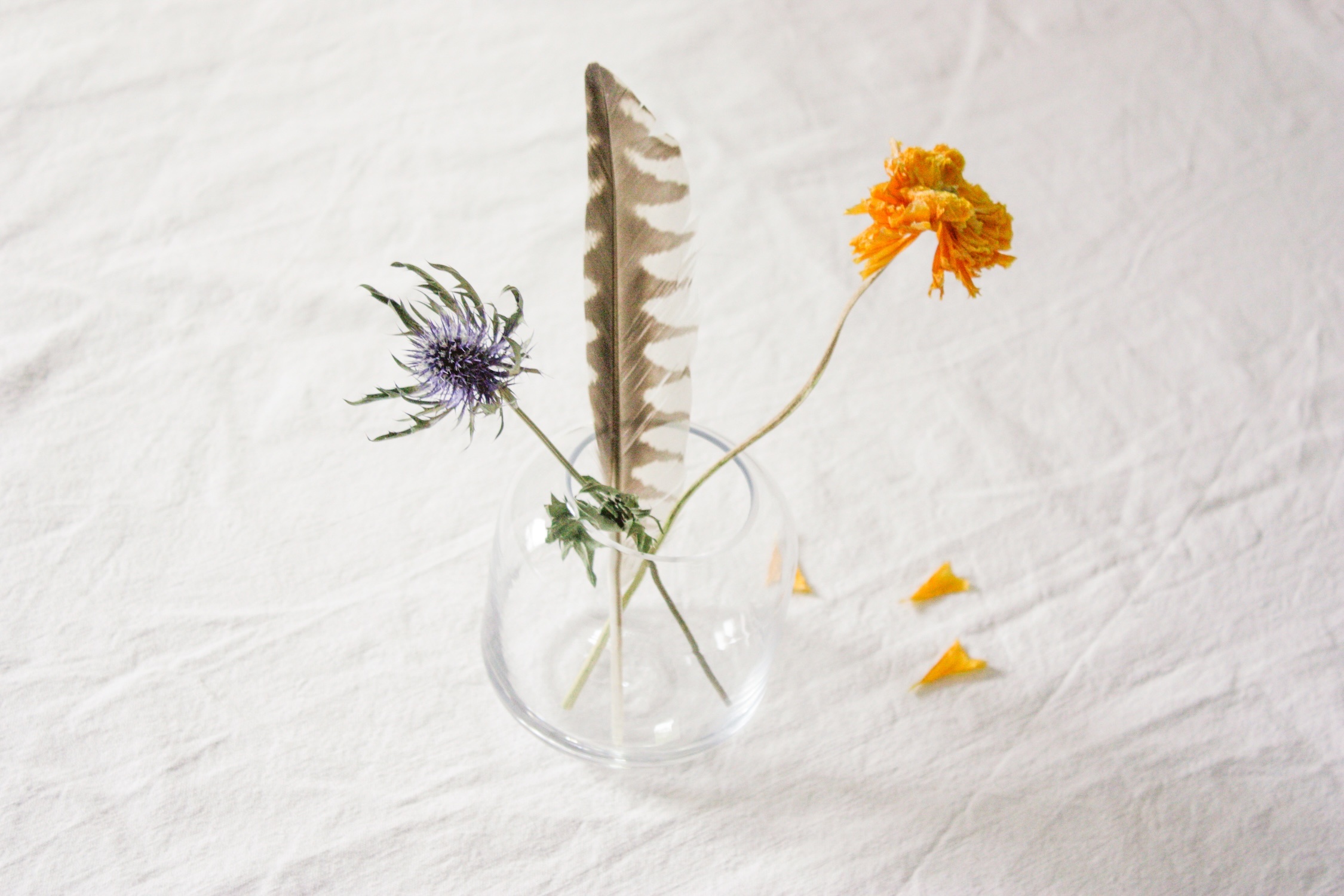Produkt_Test-21