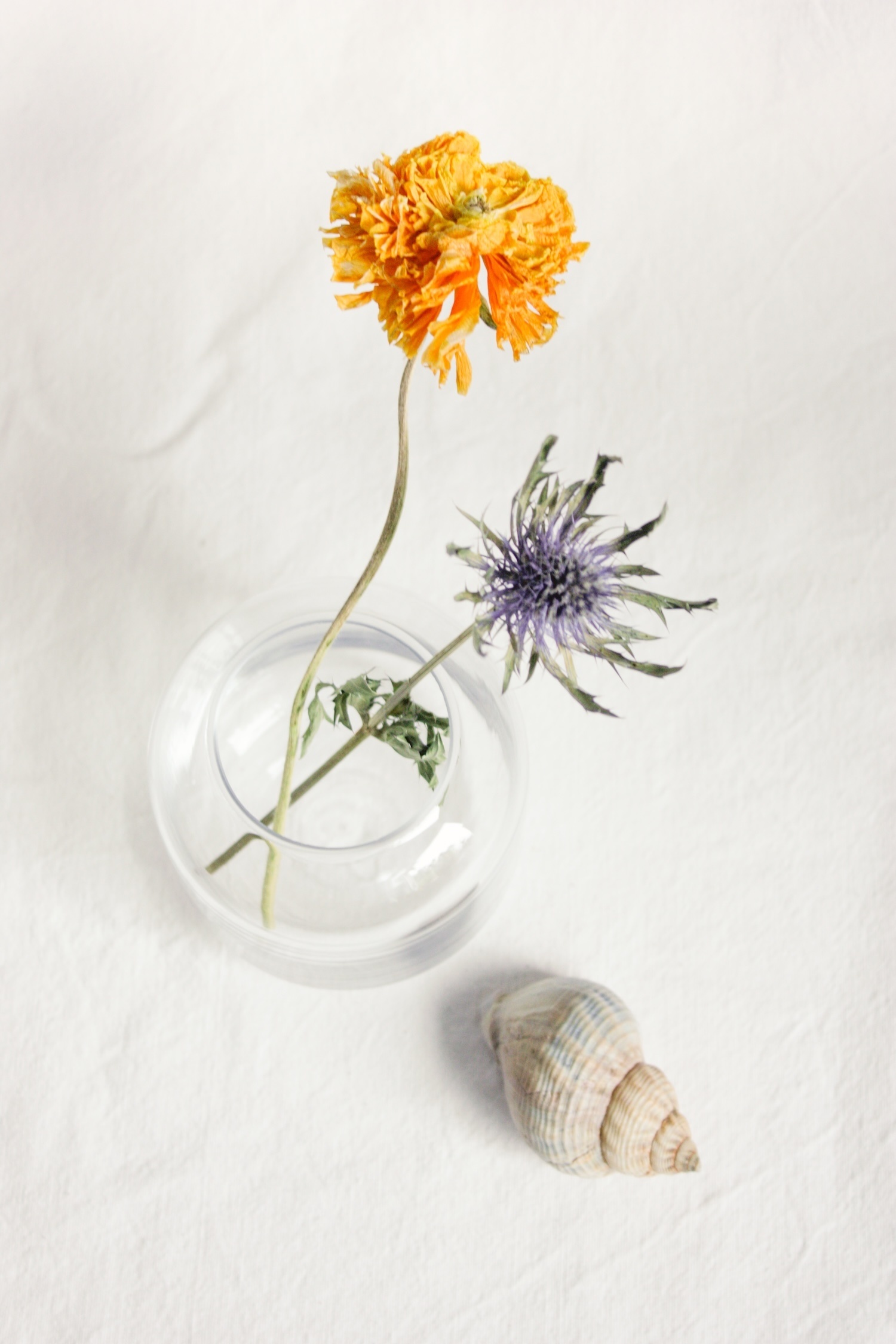 Produkt_Test-1