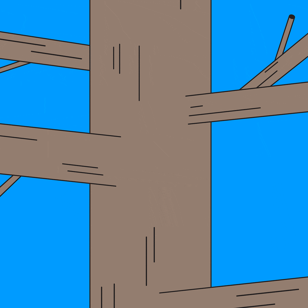 insta.gif