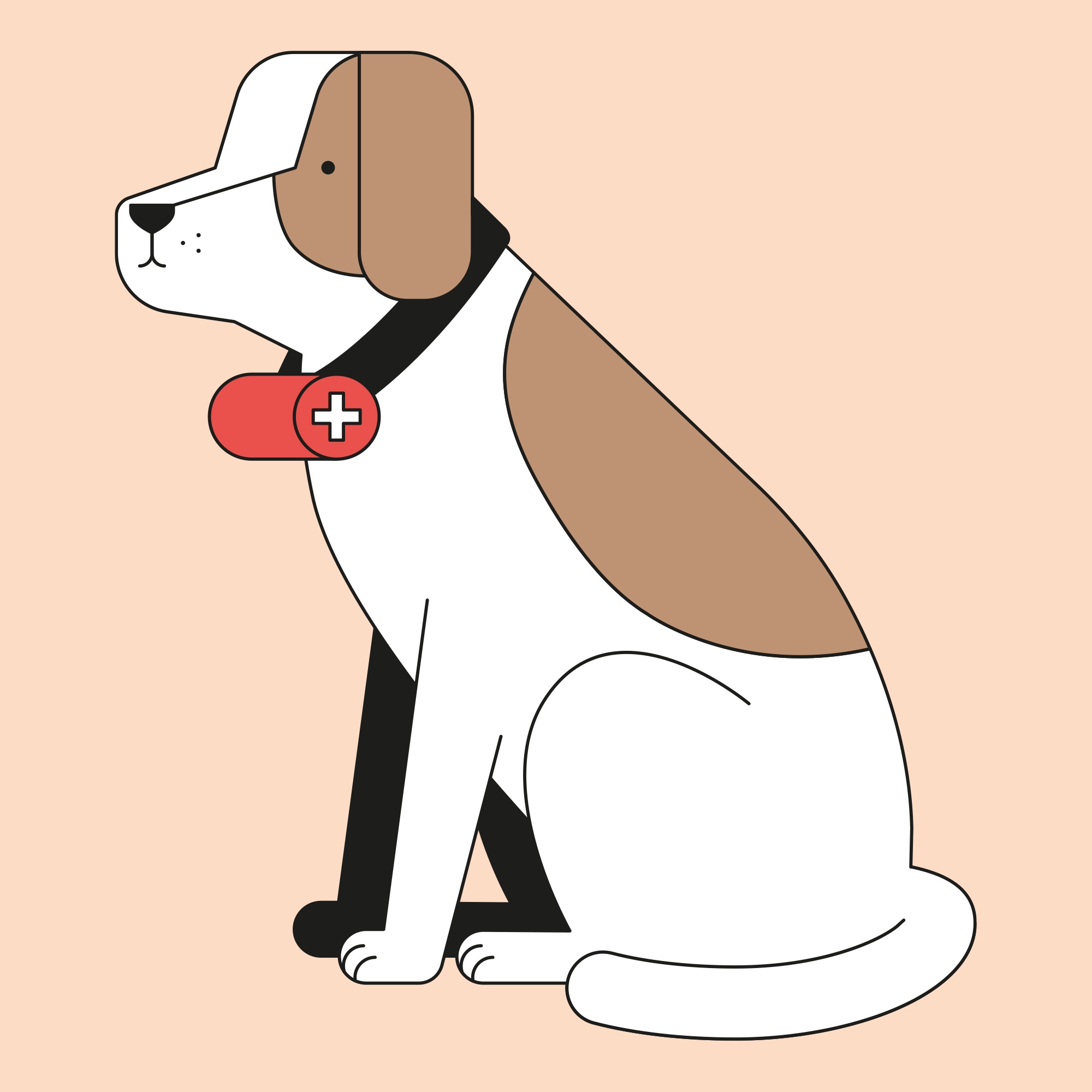 hundi.jpg